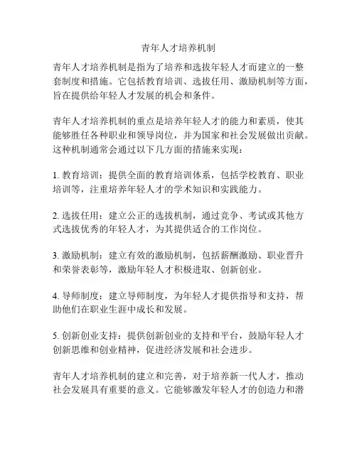 青年人才培养机制