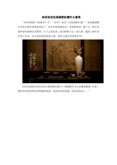 知否知否应是绿肥红瘦什么意思