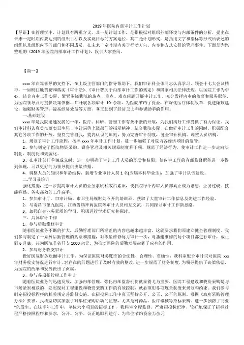 2019最新版医院内部审计工作计划总结合集精品
