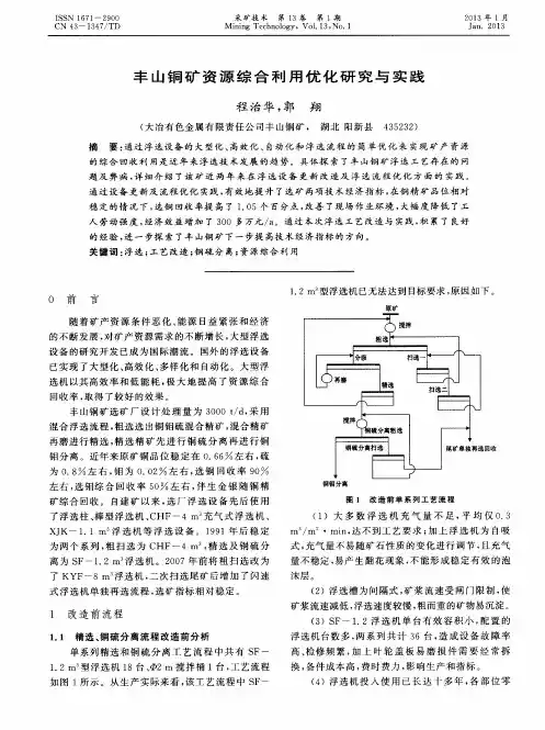 丰山铜矿资源综合利用优化研究与实践