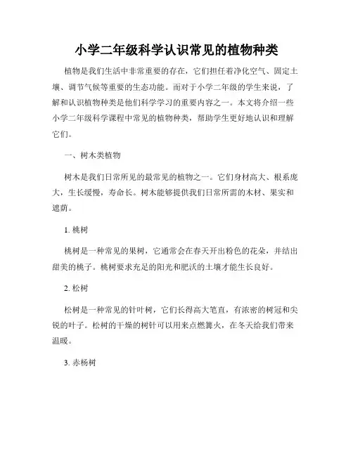 小学二年级科学认识常见的植物种类