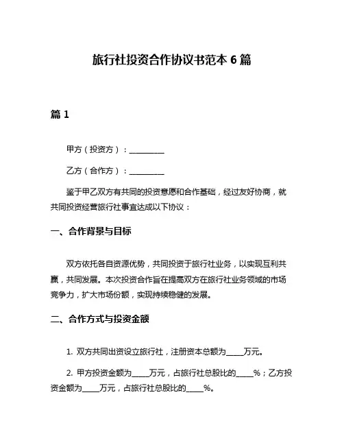 旅行社投资合作协议书范本6篇