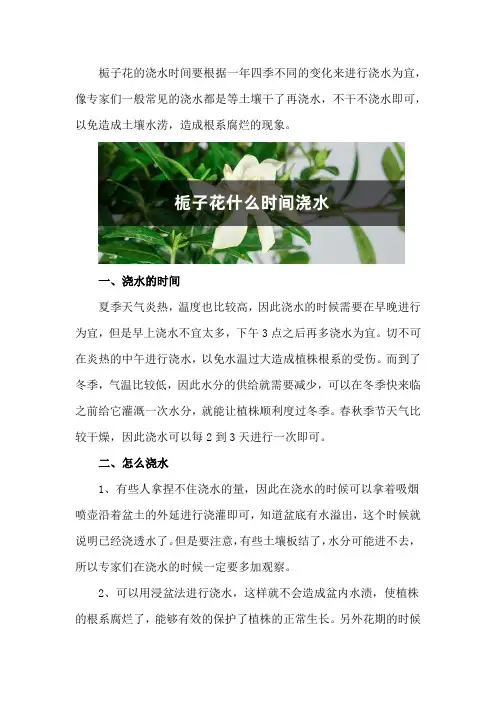栀子花什么时间浇水
