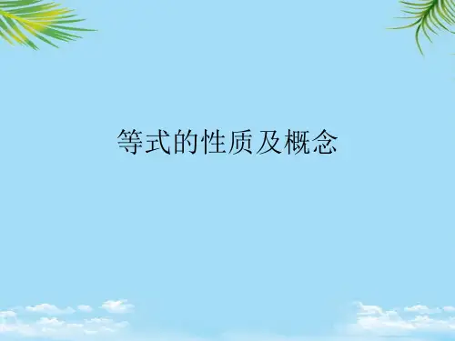 等式的性质及概念最全PPT