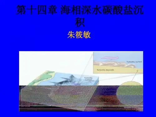 沉积相讲课-14 碳酸盐深水沉积 共39页