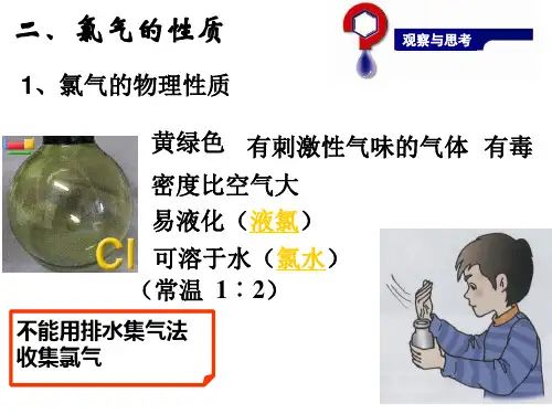 氯气的性质(苏教版必修1)40页PPT