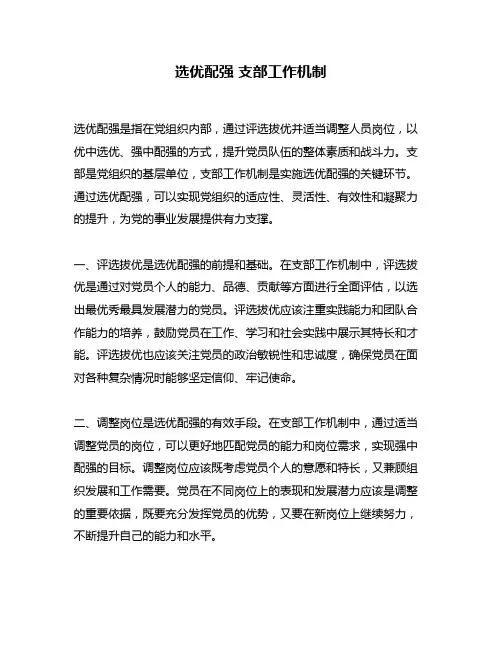 选优配强 支部工作机制