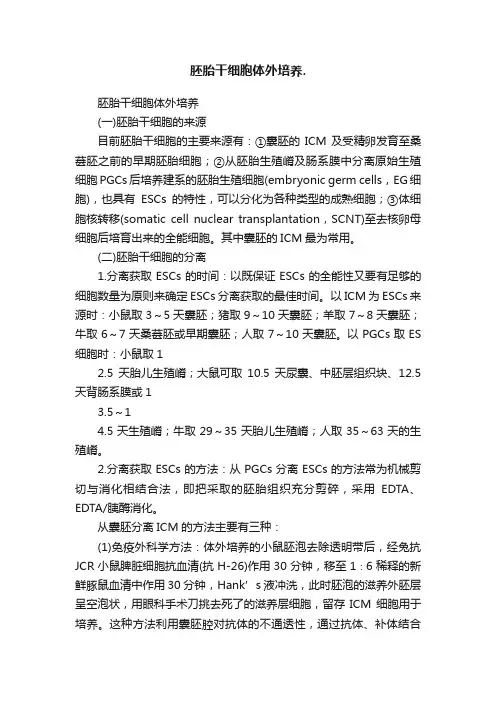 胚胎干细胞体外培养.