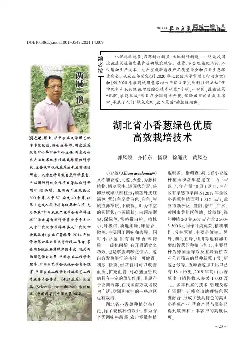 湖北省小香葱绿色优质高效栽培技术