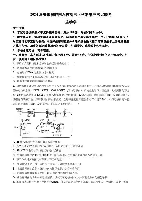 2024届安徽省皖南八校高三下学期第三次大联考生物学试卷(含答案)