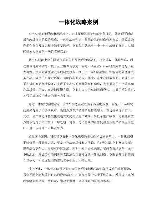 一体化战略案例