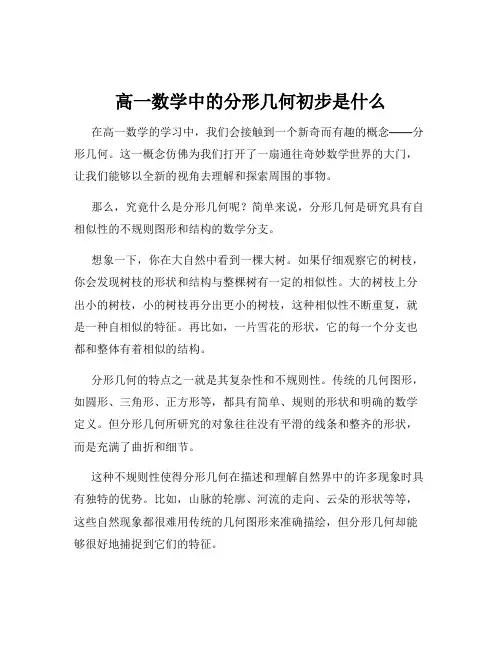 高一数学中的分形几何初步是什么