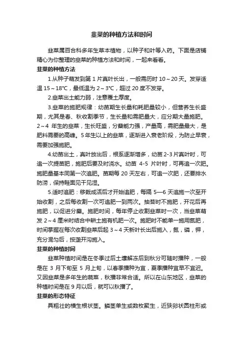 韭菜的种植方法和时间