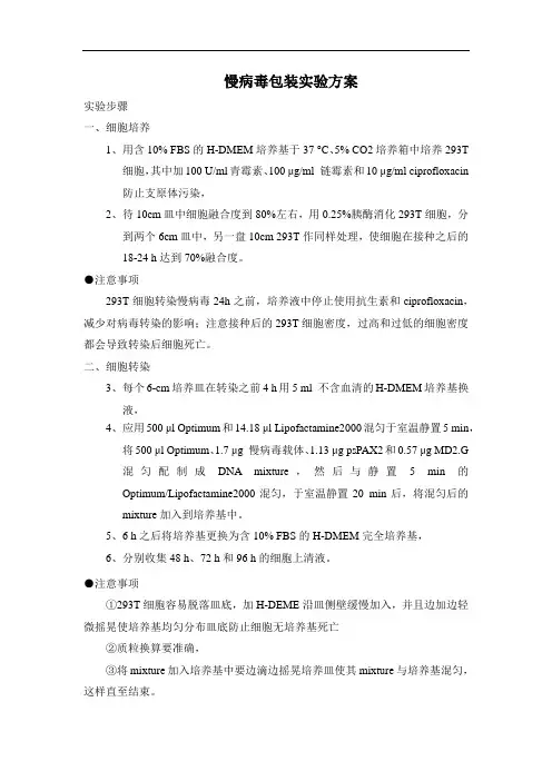 293T细胞中包装慢病毒的方法