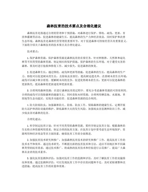 森林抚育的技术要点及合理化建议