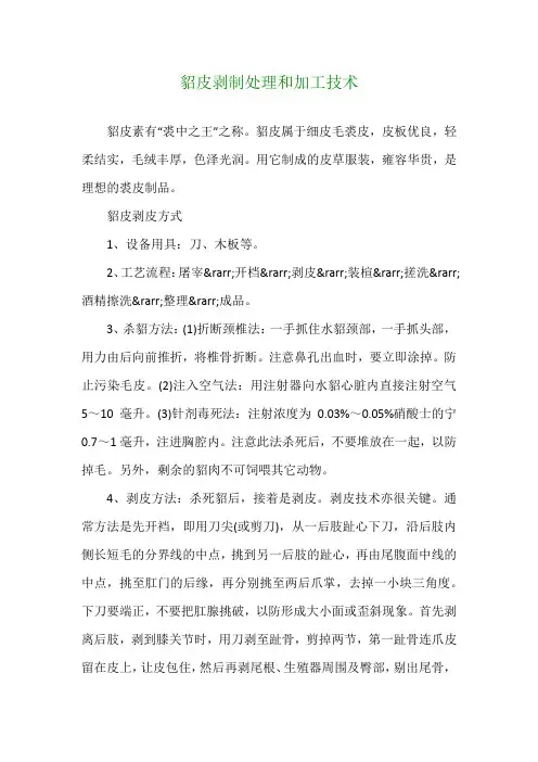 貂皮剥制处理和加工技术
