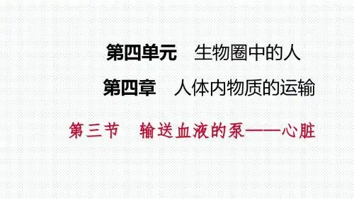 人教版第四章第三节   第1课时 心脏的结构和功能导学课件(共15张PPT)