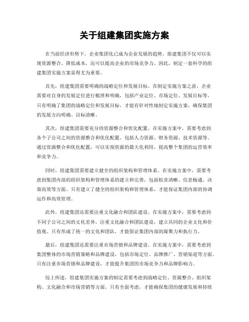 关于组建集团实施方案