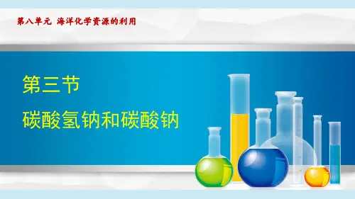 第三节 碳酸氢钠和碳酸钠 九年级化学下册(鲁教版2024)