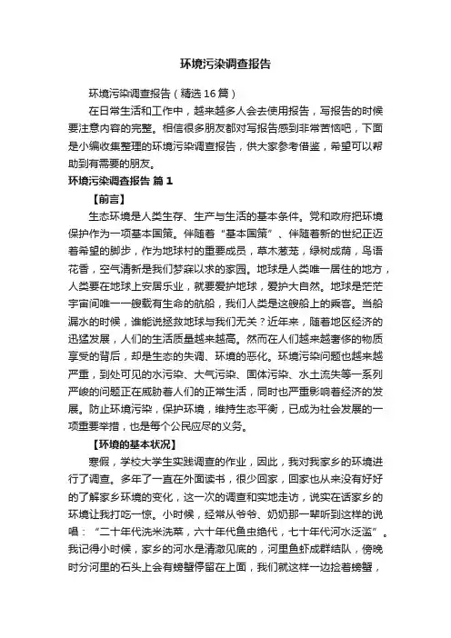 环境污染调查报告（精选16篇）