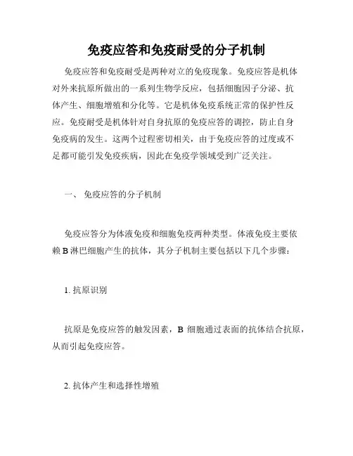 免疫应答和免疫耐受的分子机制
