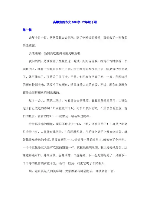 臭鳜鱼的作文500字,六年级下册