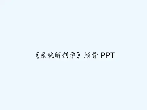 《系统解剖学》颅骨 PPT