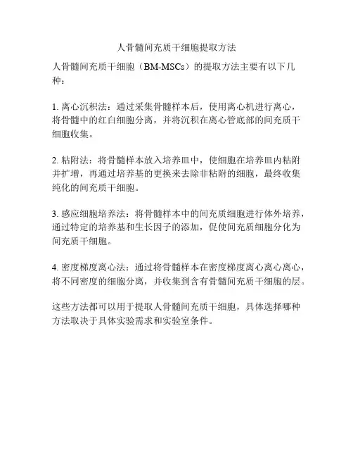 人骨髓间充质干细胞提取方法