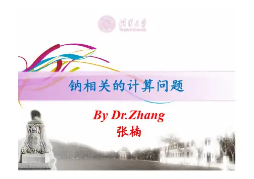 天津市耀华中学张楠老师—钠相关的计算问题[