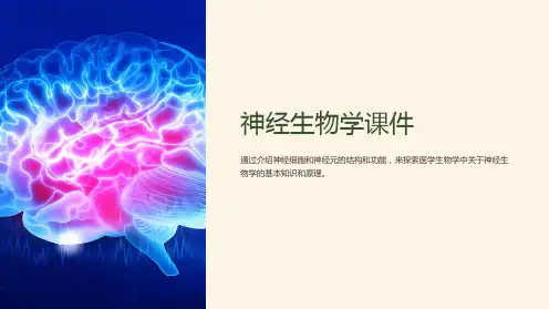 《神经生物学课件》医学生物学医学神经生物学PPT课件