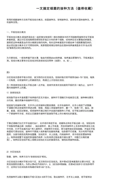 一文搞定细菌的接种方法（值得收藏）
