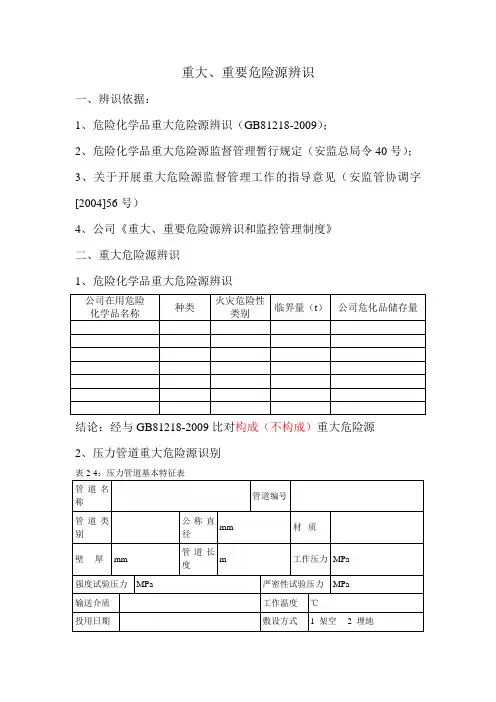 重大危险源辨识模板