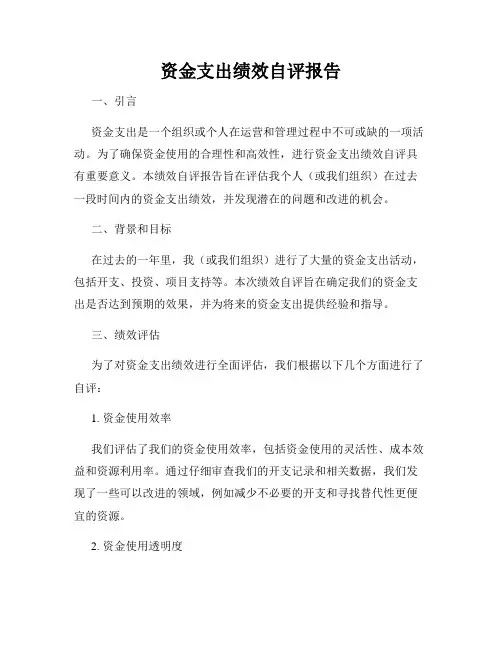 资金支出绩效自评报告