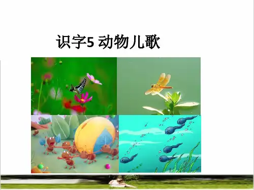 统编版一年级语文下册第五单元识字5 《动物儿歌》课件