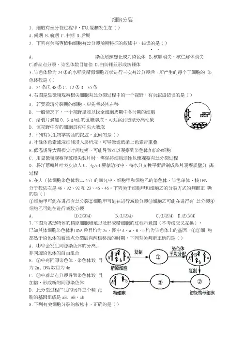 高三生物习题(江苏高考复习用)细胞分裂.docx
