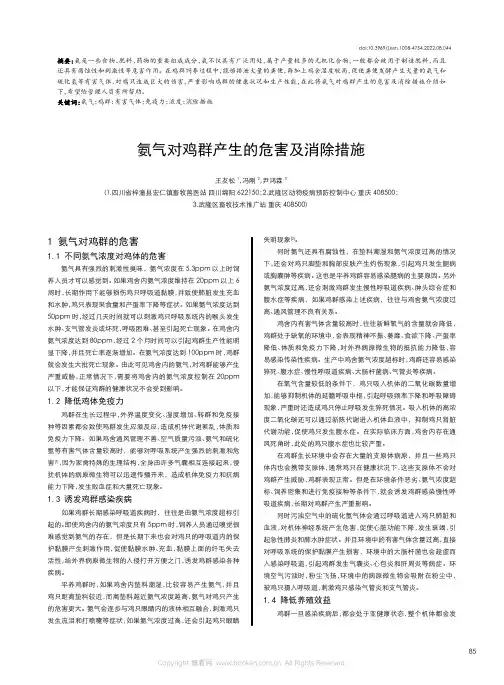 氨气对鸡群产生的危害及消除措施