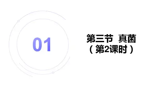 2.3.3 真菌 第2课时课件2024-2025学年人教版生物七年级上册