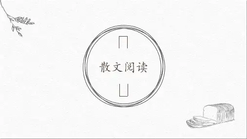 窗子以外