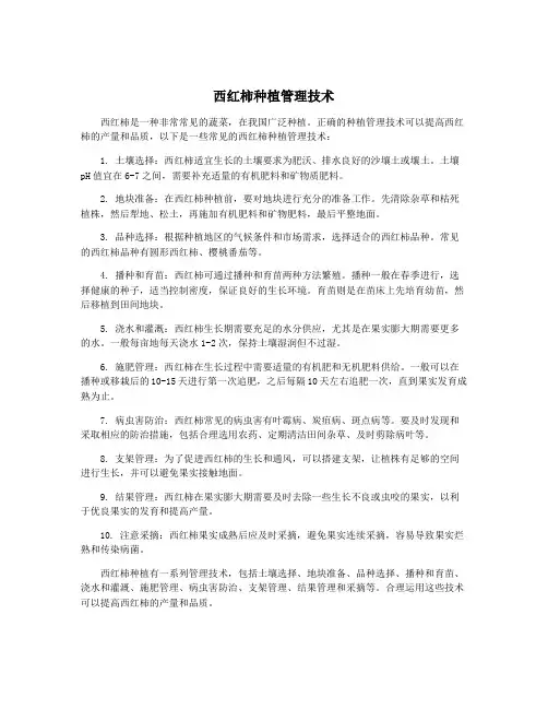 西红柿种植管理技术
