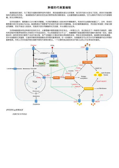 肿瘤的代谢重编程