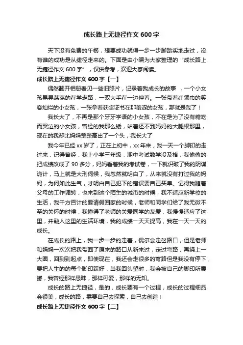 成长路上无捷径作文600字