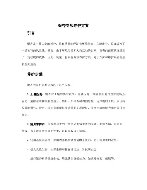 银杏专项养护方案