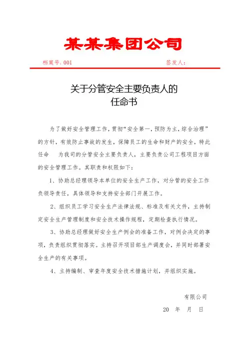 分管安全主要负责人的任命书
