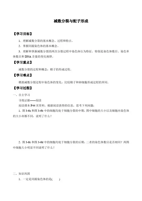 北师大版(2019)高中生物必修二减数分裂与配子形成-学案