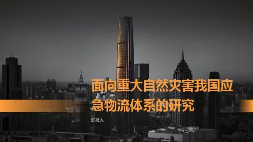面向重大自然灾害我国应急物流体系的研究