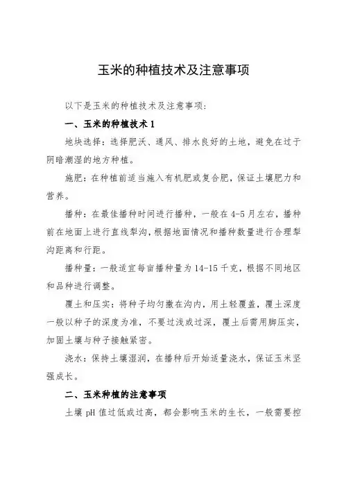 玉米的种植技术及注意事项