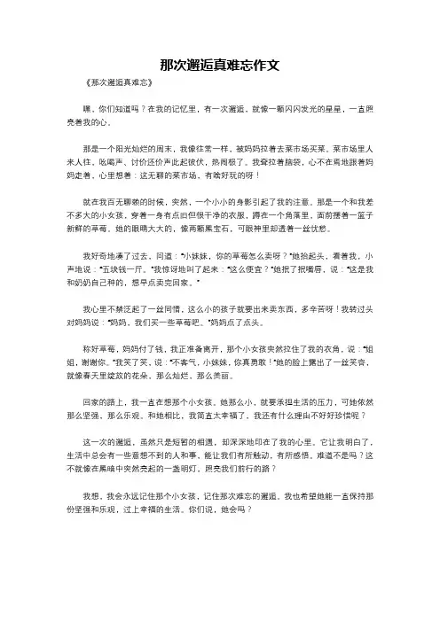 那次邂逅真难忘作文