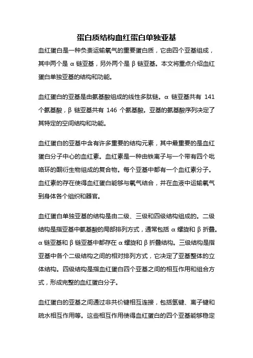 蛋白质结构血红蛋白单独亚基