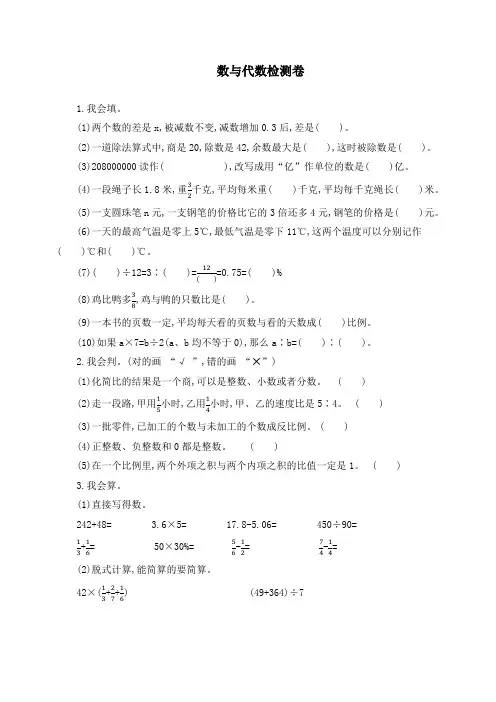 新人教版六年级数学下册《数与代数》检测卷(附答案)