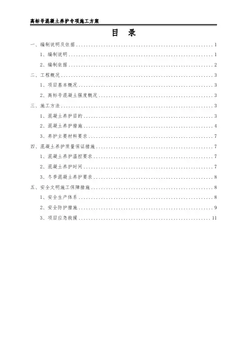 高标号混凝土养护专项施工方案
